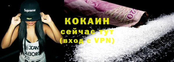 ECSTASY Ельня