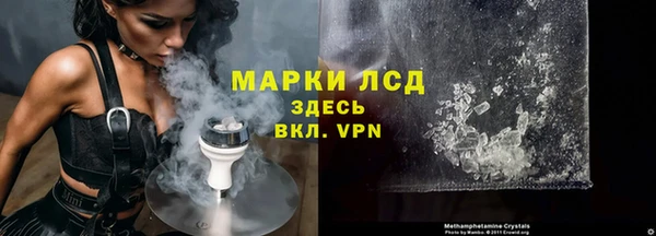 ECSTASY Ельня