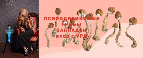 прущий лед Елизово
