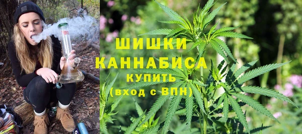 ECSTASY Ельня