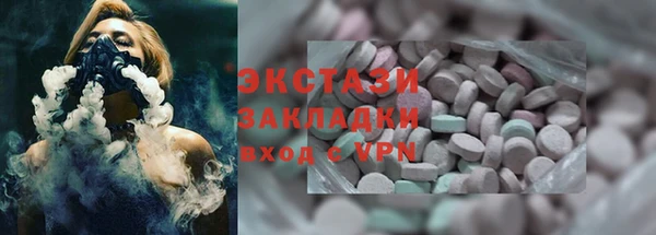 ECSTASY Ельня
