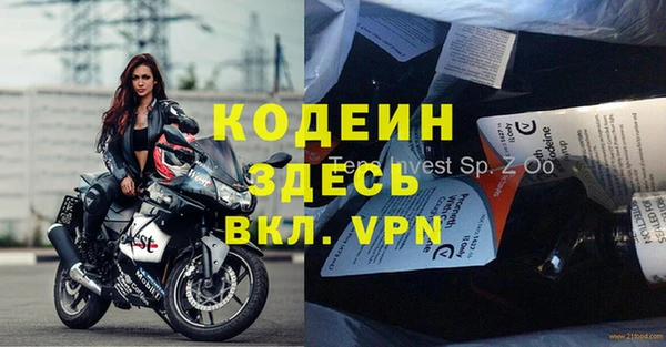 молекула духа Елабуга