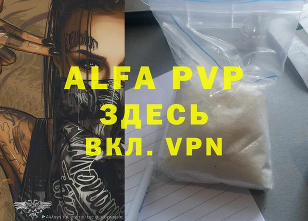молекула духа Елабуга