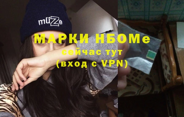 ECSTASY Ельня