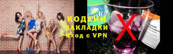 молекула духа Елабуга