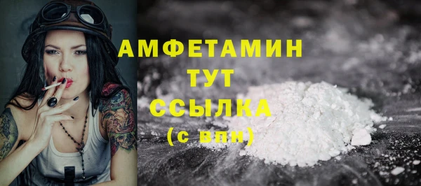 молекула духа Елабуга