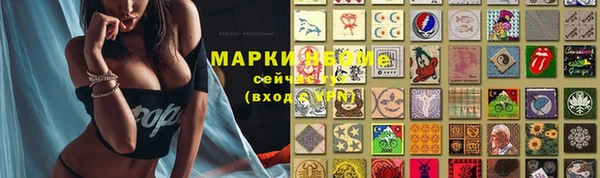молекула духа Елабуга