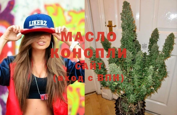 молекула духа Елабуга