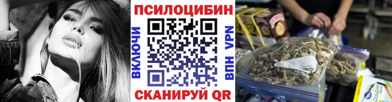 Псилоцибиновые грибы Psilocybe  Купить  Киржач 